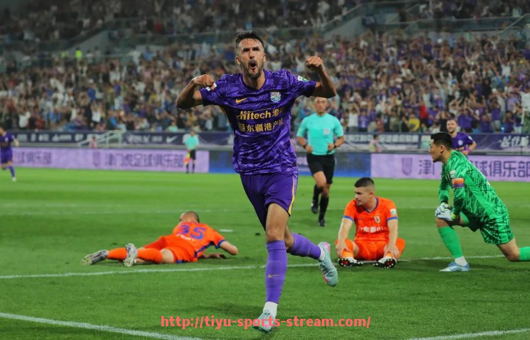 体育直播-德甲球队的缩写代表了什么含义?(德甲球队的缩写代表了什么含义呢)