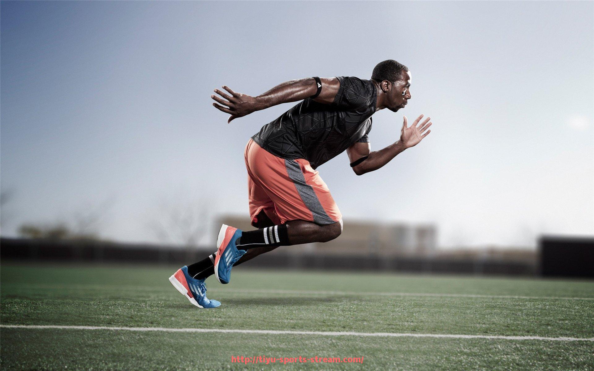 体育直播-健身器材锻炼步骤详解：科学训练方案推荐