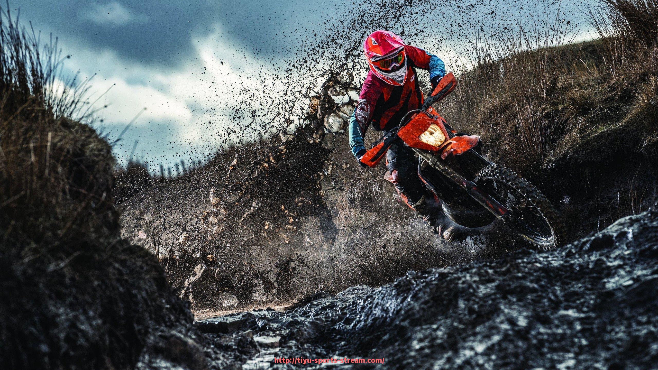 体育直播-可移动式运动健身器材的分类与应用场景介绍